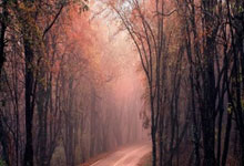 欧国联赛上演大翻盘 法国点球气走格子军 葡萄牙加时胜丹麦.