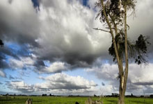 国足排名创近十年新低,伊万留任就是允许摆烂!足协当断不断非好汉.