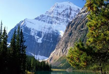 九游会:广东赢吉林12分,浙江赢北京7分,广厦赢42分 CBA最新积分榜如下.