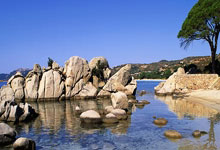 九游会:WTT成都混团世界杯 国乒8比4战胜韩国队央视新闻客户端.